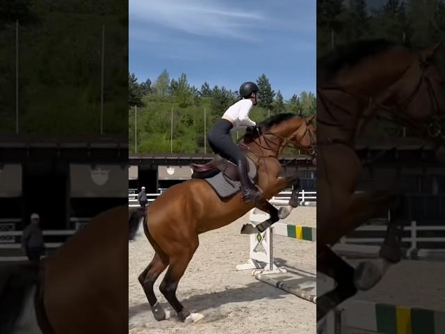 #конныйспорт #конкур #horse #лошади #showjumping #horseriding #equestrian #showjumper