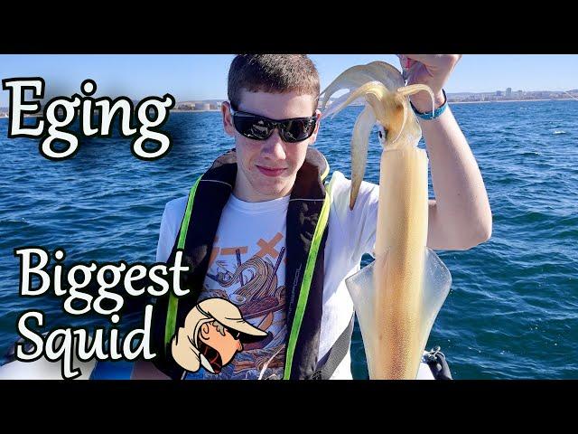 Eging (Squid jigging) #17-  The Biggest Squid - Personal Best