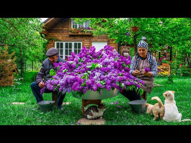 The Scent of Spring - Homemade Lilac Syrup