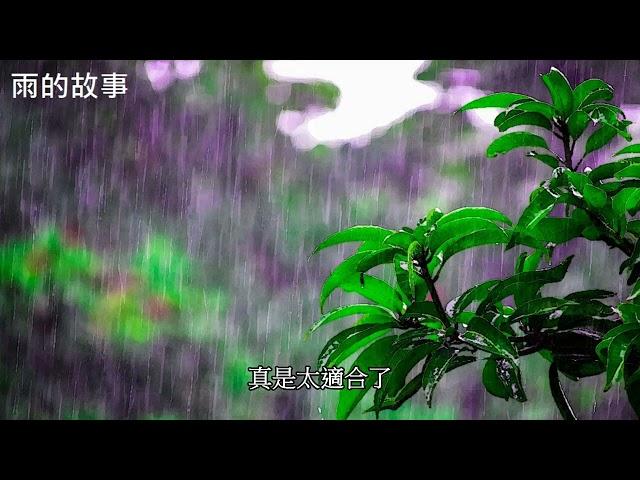 雨的故事: music (violin, clarinet) played and arranged by Simon Hsu