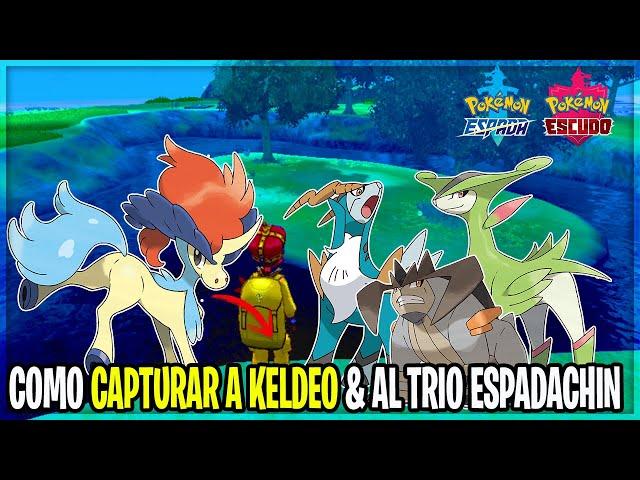 como CONSEGUIR a KELDEO VIRIZION COBALION & TERRAKION en POKEMON ESPADA y ESCUDO NIEVES de la CORONA