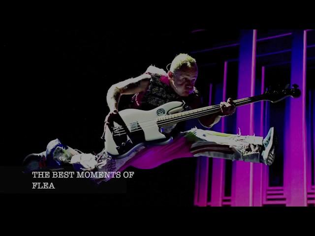 FLEA (RHCP) -The Best Moments ;)