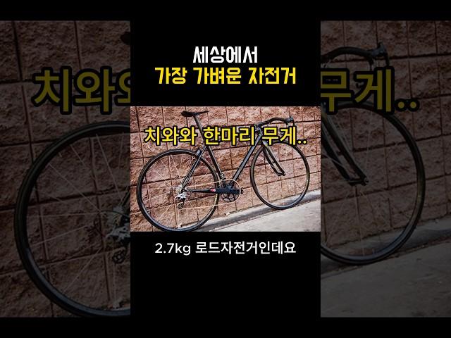 세상에서 가장 가벼운 자전거 #자전거 #로드자전거 #자덕