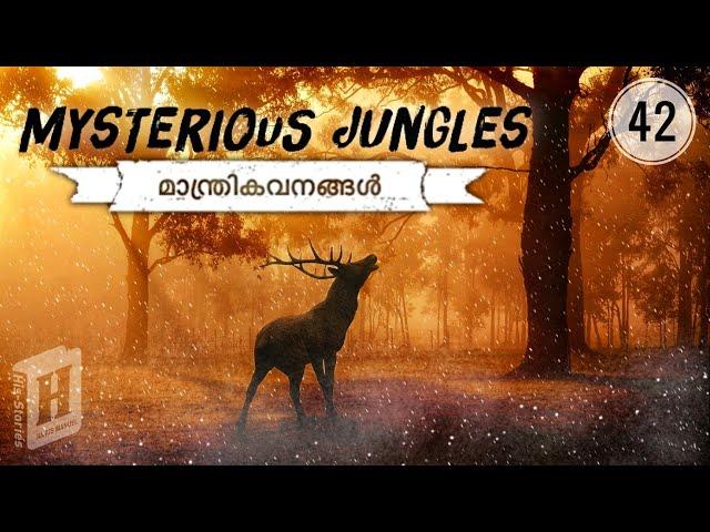 Mysterious Jungles | Lost Forests | Lost Tree | Strange Forests| Julius Manuel | HisStories