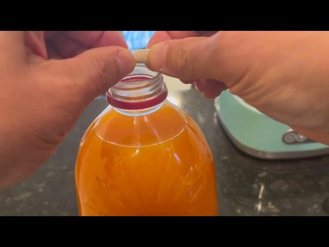 Make High-Potency Probiotic Saccharomyces boulardii Sparkling Juice