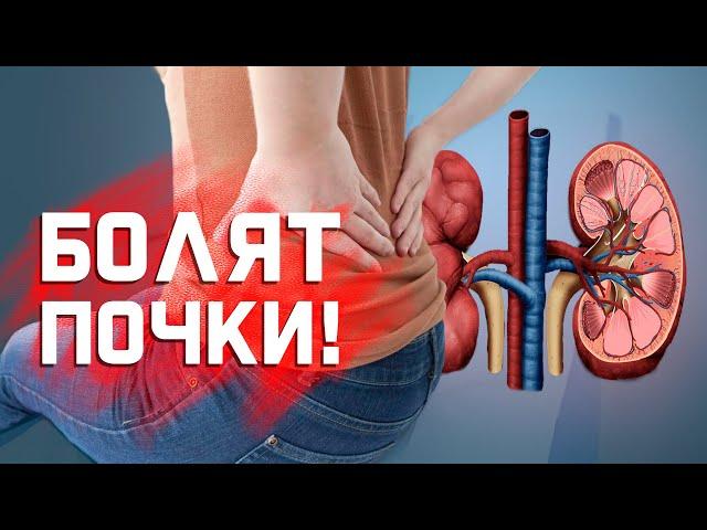 Когда поясница болит из-за почек?