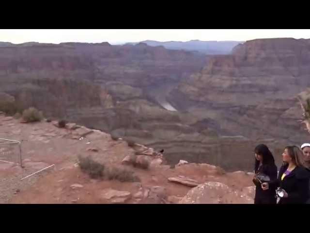 Ravens of Grand Canyon