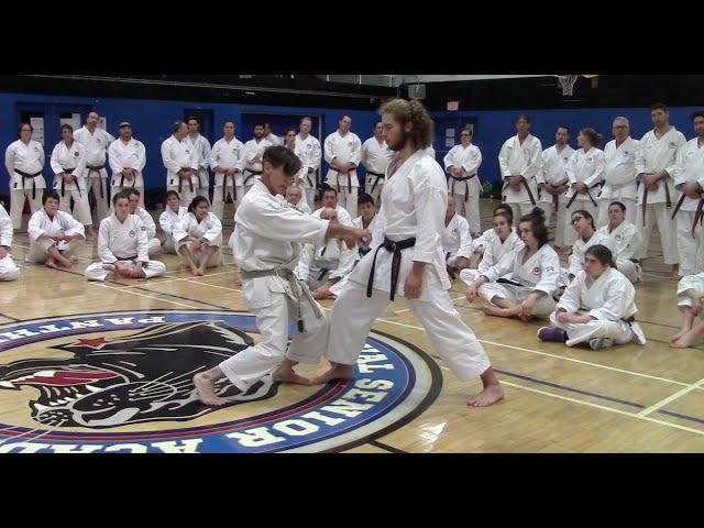 Hotton sensei - preserving karate for the next generation