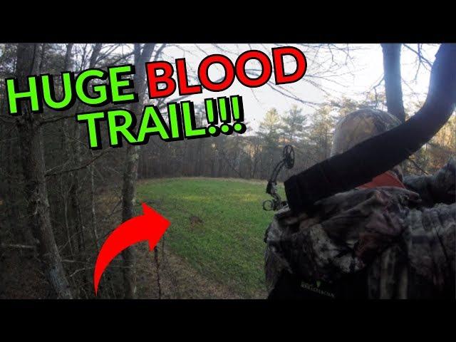 I SHOT A DEER WITH MY BOW - Mission Craze Bow Kill