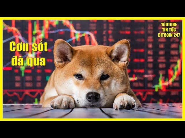 Các memecoin giảm tới 50%, cơn sốt đã đi qua?