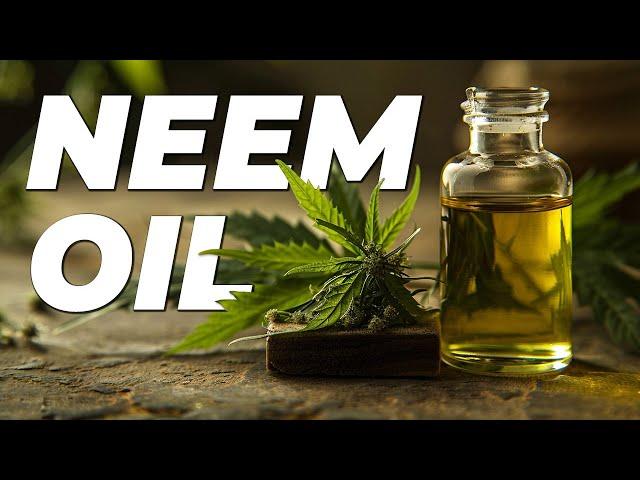 Neem Oil | Organic Pesticides for Cannabis