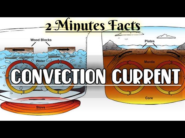 Convection Current || Just 2 Minutes Facts || Simplified Concept