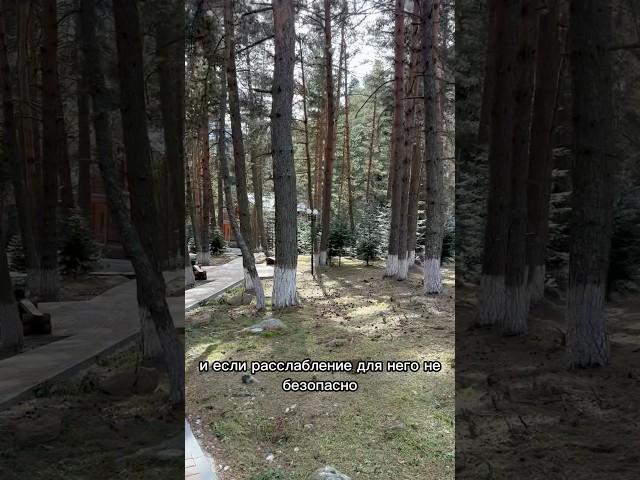 Одна часть нас может вообще не знать о существовании другой нашей части #психология #саморазвитие