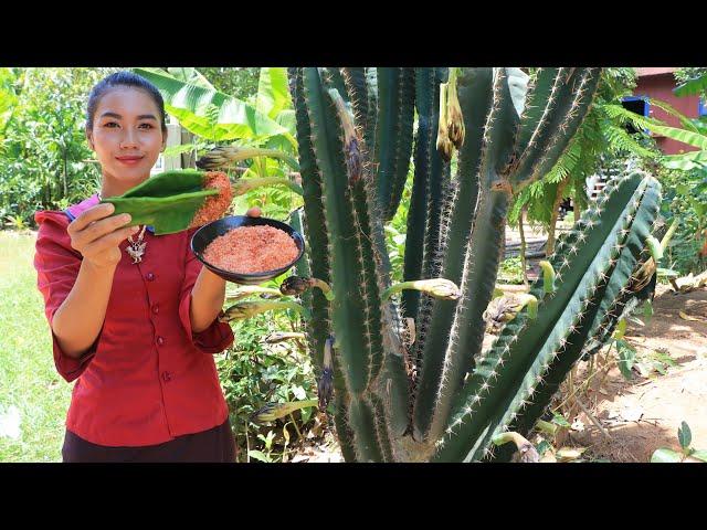 Yummy Pedro cactus in my homeland - Healthy food