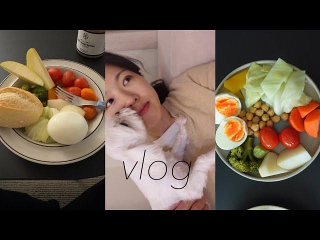 vlog. 매일 먹는 아침 채소 찌는 법, 보관 방법· 。*  직장인 브이로그