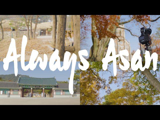 #언제나#청춘여행#여기로 - 언제나 아산 MV