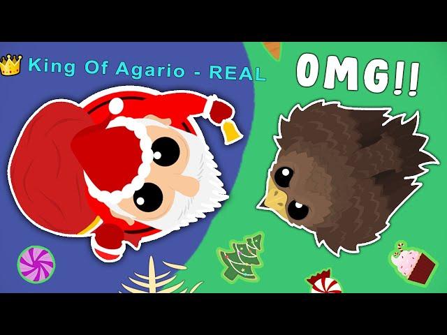 SANTA GIFTED ME ULTRA RARE GOLDEN SHAHBAZ in MOPE.IO // EPIC FUNNY MOMENTS !!