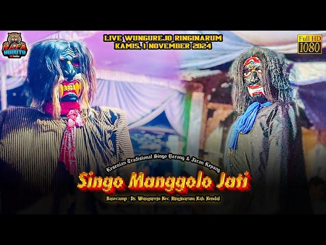 Dawangan Kendal Singo Manggolo Jati Babak Malam Live Wungurejo Ringinarum 1/11/2024 Terbaru