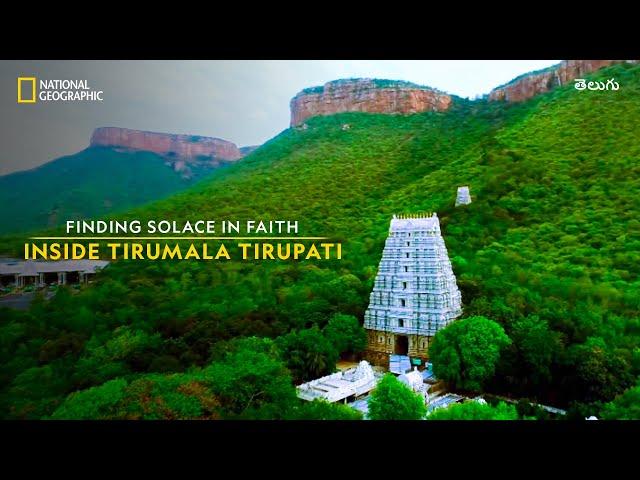 Finding Solace in Faith | Inside Tirumala Tirupati | తెలుగు | National Geographic