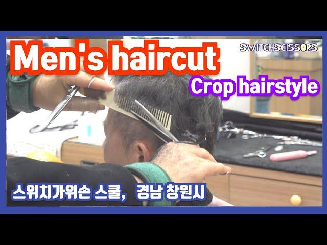 Men's haircut  ( Crop hairstyle  )