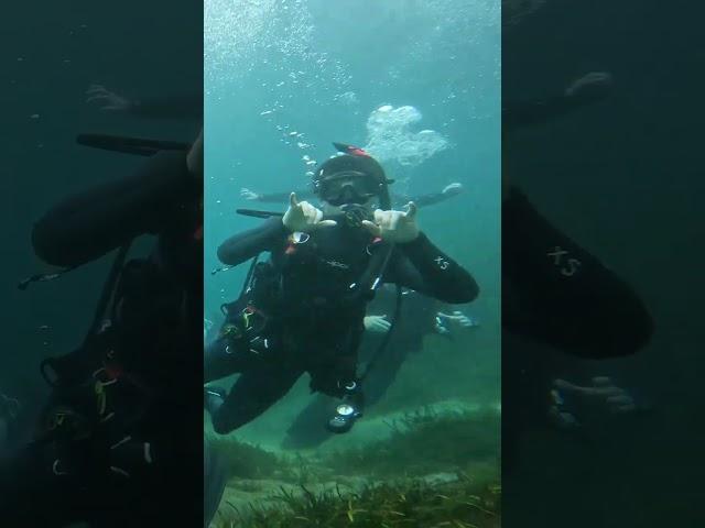 Go with the flow! #camdenmilitary #shorts #scuba #florida #dive
