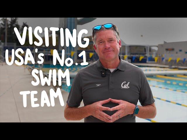 How Cal Swimmers Train to Win NCAA Championships