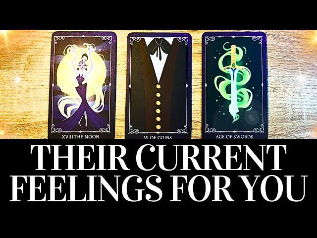 PICK A CARD Their CURRENT FEELINGS For YOU!  They want you to know THIS!  Love Tarot Reading