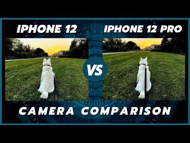 iPhone 12 vs 12 Pro Camera Comparison