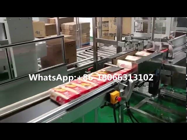 Automatic Master Carton Packing Line Case Packaging Machine Case Erector equipment Carton Filling