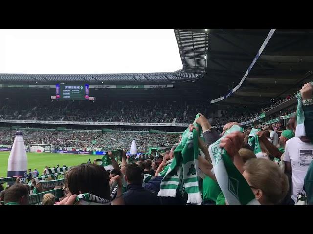 Werder-Bremen - Düsseldorf 1-3 -am 17.08.19