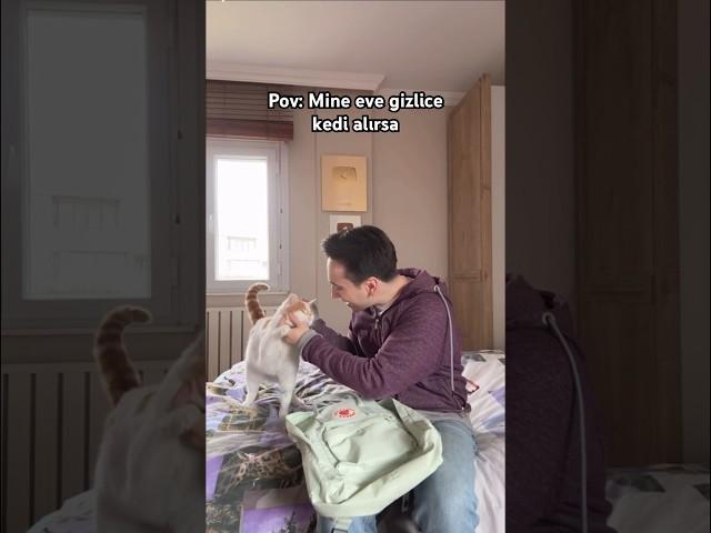 Mine gizlice kedi alırsa 