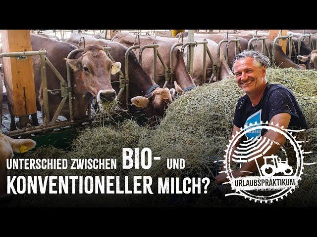 Was ist der Unterschied zwischen Bio- und konventioneller Milch? - Fleischi fragt einen Bergbauern