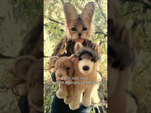 New stuffed animals! °.• #stuffedanimals #stuffedtoys #style #therian #antizoo