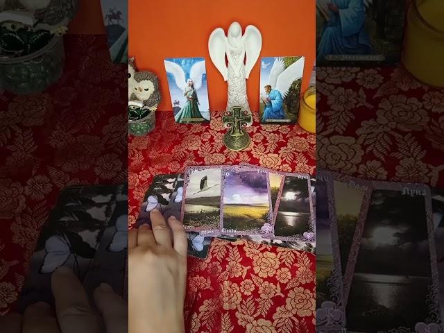 ПРОИЗОЙДЁТ ЛИ ПРИМИРЕНИЕ В САМОЕ БЛИЖАЙШЕЕ ВРЕМЯ! #СТРАНА_ЧУДЕС_НБ #НАТАЛЬЯ_БЛАГАЯ