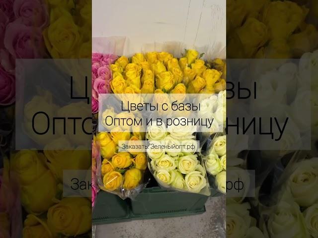 Цветы с базы. Санкт-Петербург. #цветы #цветыопт #букет #базацветов #Питер #СанктПетербург #флорист