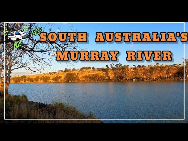 South Australia's Murray River