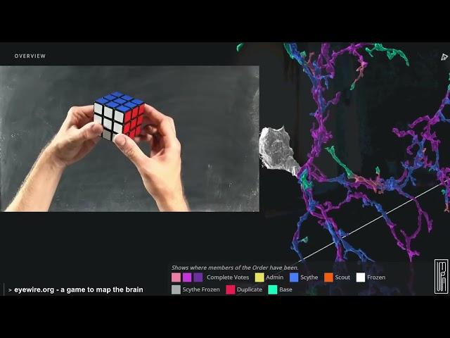 hackerdashery - P vs. NP and the Computational Complexity Zoo