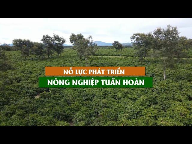 Nỗ lực phát triển nông nghiệp tuần hoàn | VTC16