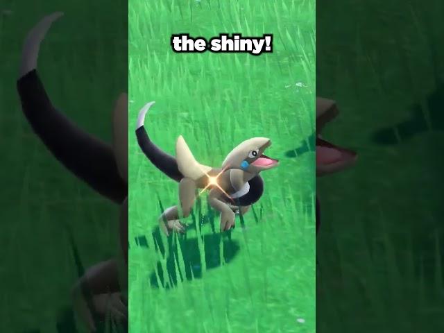 The BEST shiny hunts in Pokemon Scarlet and Violet!