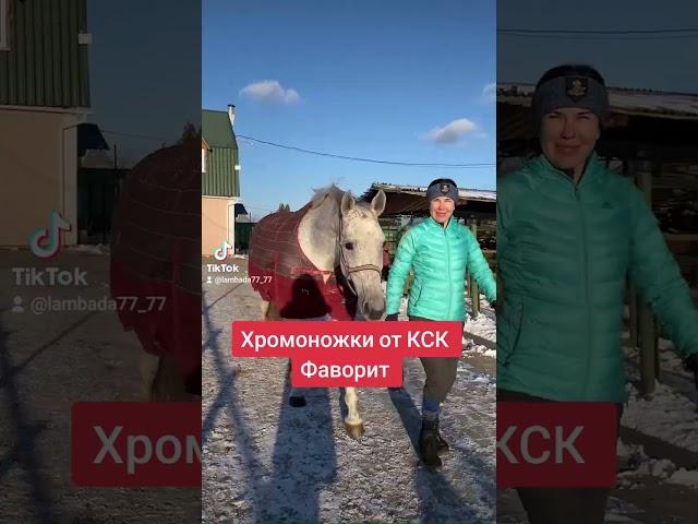 как вылечить перелом? #постойлошадей #кінніпрогулянки #школаверховойезды #верховаїзда