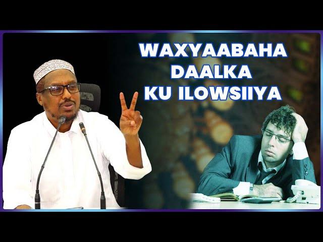Waxyaabaha Daalka ku Ilowsiiya || Sh Mustafe Xaaji Ismaaciil