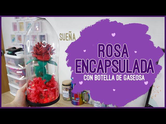 ROSA ENCAPSULADA CON FOAMI Y BOTELLA DE GASEOSA | Soy Maria Zapata