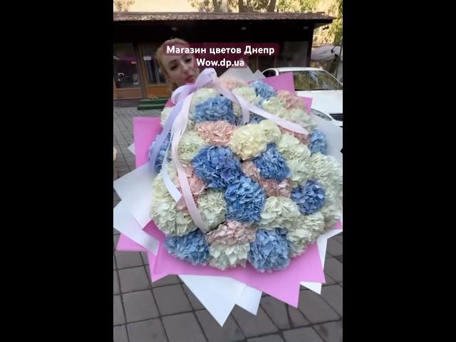 Магазин цветов Днепр. https://wow.dp.ua Купить гортензии Днепр. Доставка цветов Днепр #доставкацветы