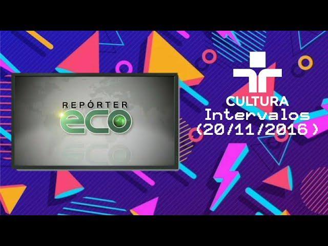 Intervalos Repórter Eco TV Cultura (20/11/2016)