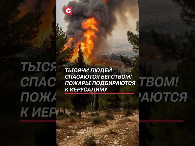 Пожары охватили Израиль! #израиль #пожары #чп #иерусалим #новости #политика #катаклизм #катастрофа