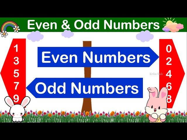 Even & Odd Numbers | Learning Even And Odd Numbers | Even , Odd Number Maths Concept for Kids