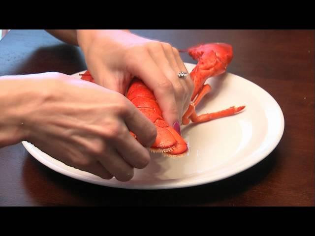 Seafood Fork Commercial