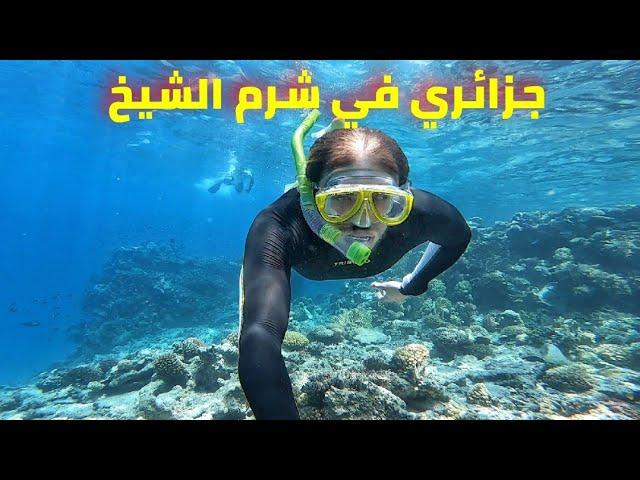 السياحة في شرم الشيخ بأعين #جزائري