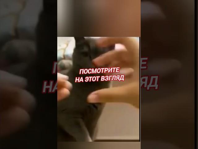 Взгляд профи...