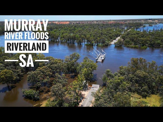 Murray River Floods 29 Nov 2022 - Riverland, SA - Lyrup to Berri